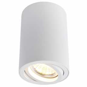 Точечный светильник Arte Lamp(SENTRY) A1560PL-1WH